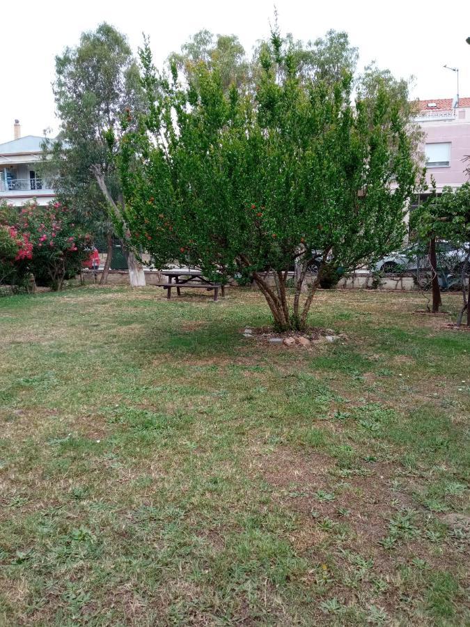 Sofia'S Garden Appartement Néa Péramos Buitenkant foto